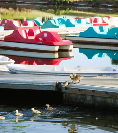 Earth Day Volunteering